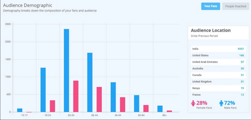 Audience demographics 